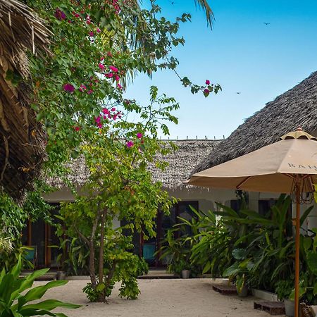 Badolina Bungalows Nungwi Bagian luar foto