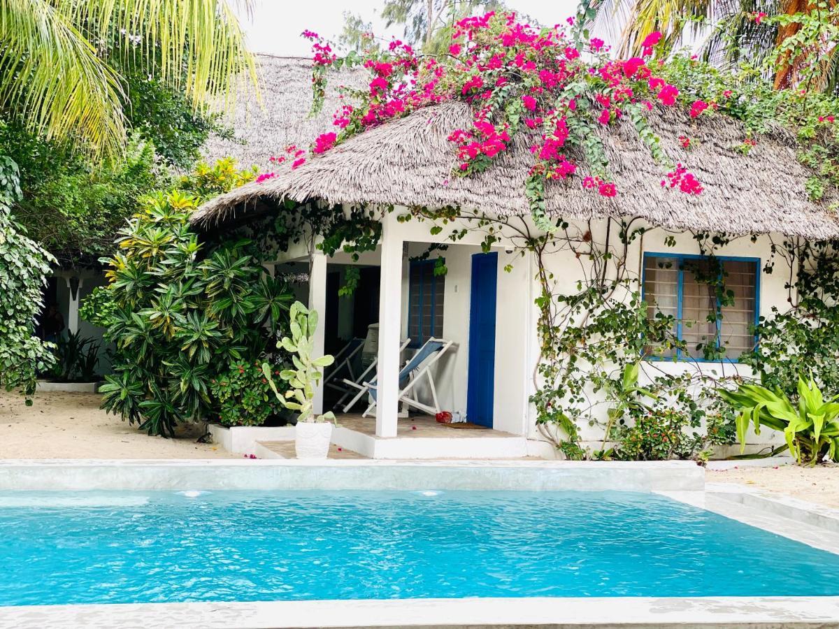 Badolina Bungalows Nungwi Bagian luar foto