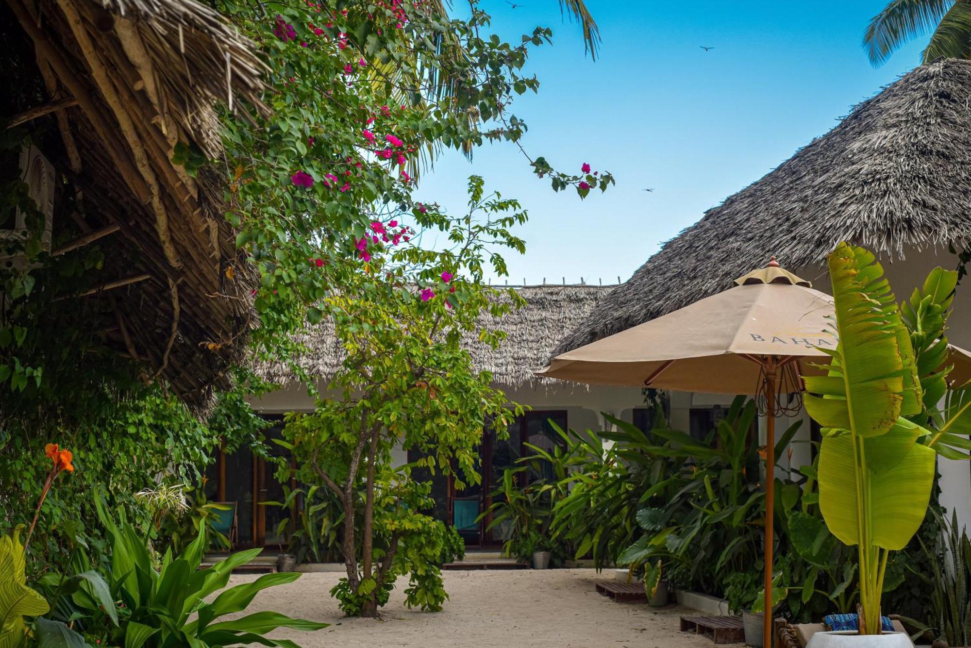 Badolina Bungalows Nungwi Bagian luar foto