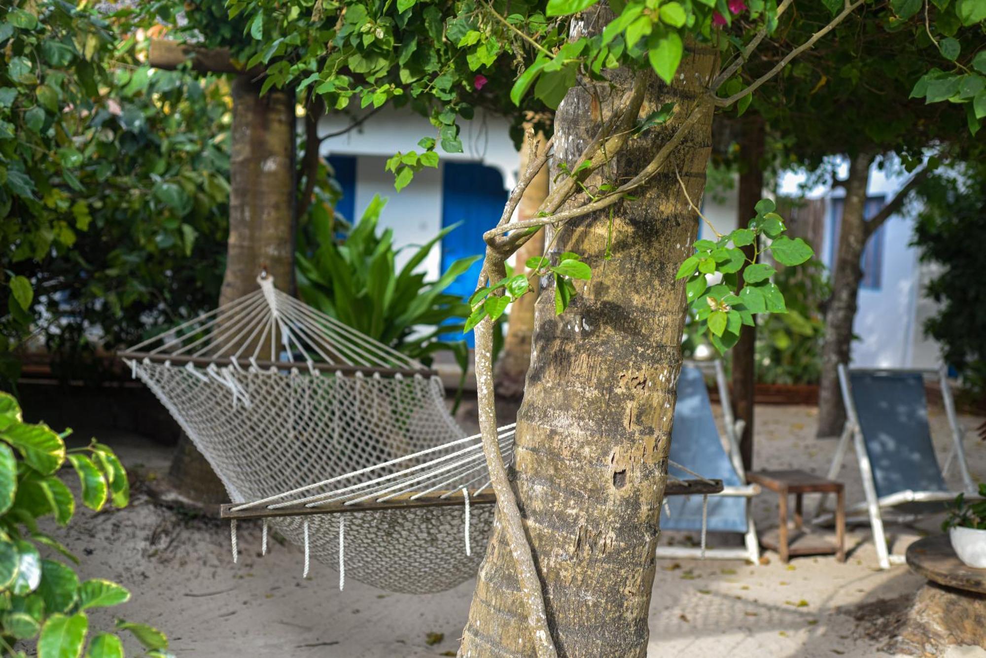 Badolina Bungalows Nungwi Bagian luar foto