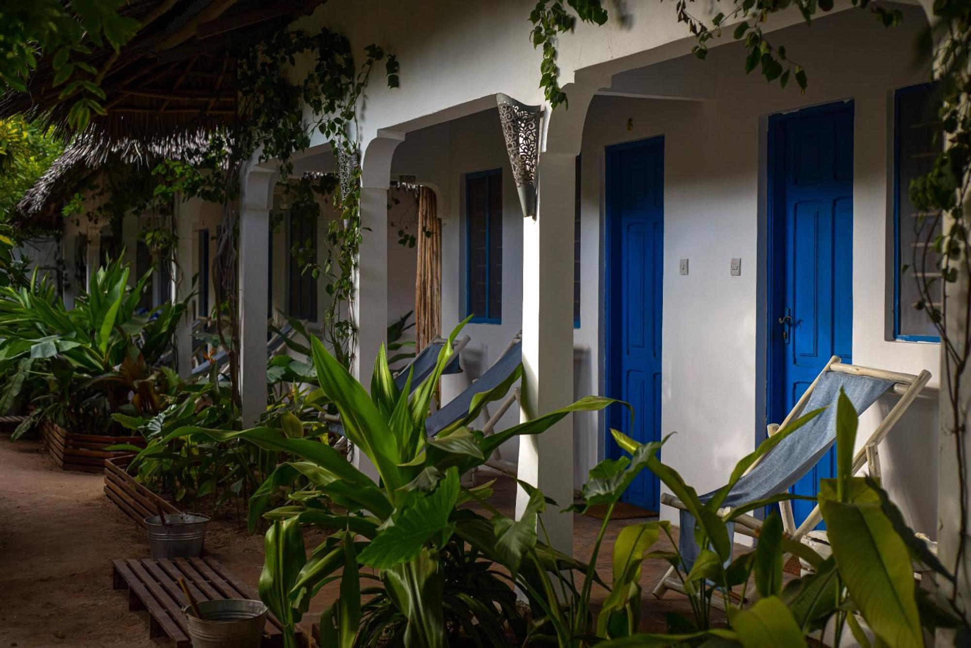 Badolina Bungalows Nungwi Bagian luar foto