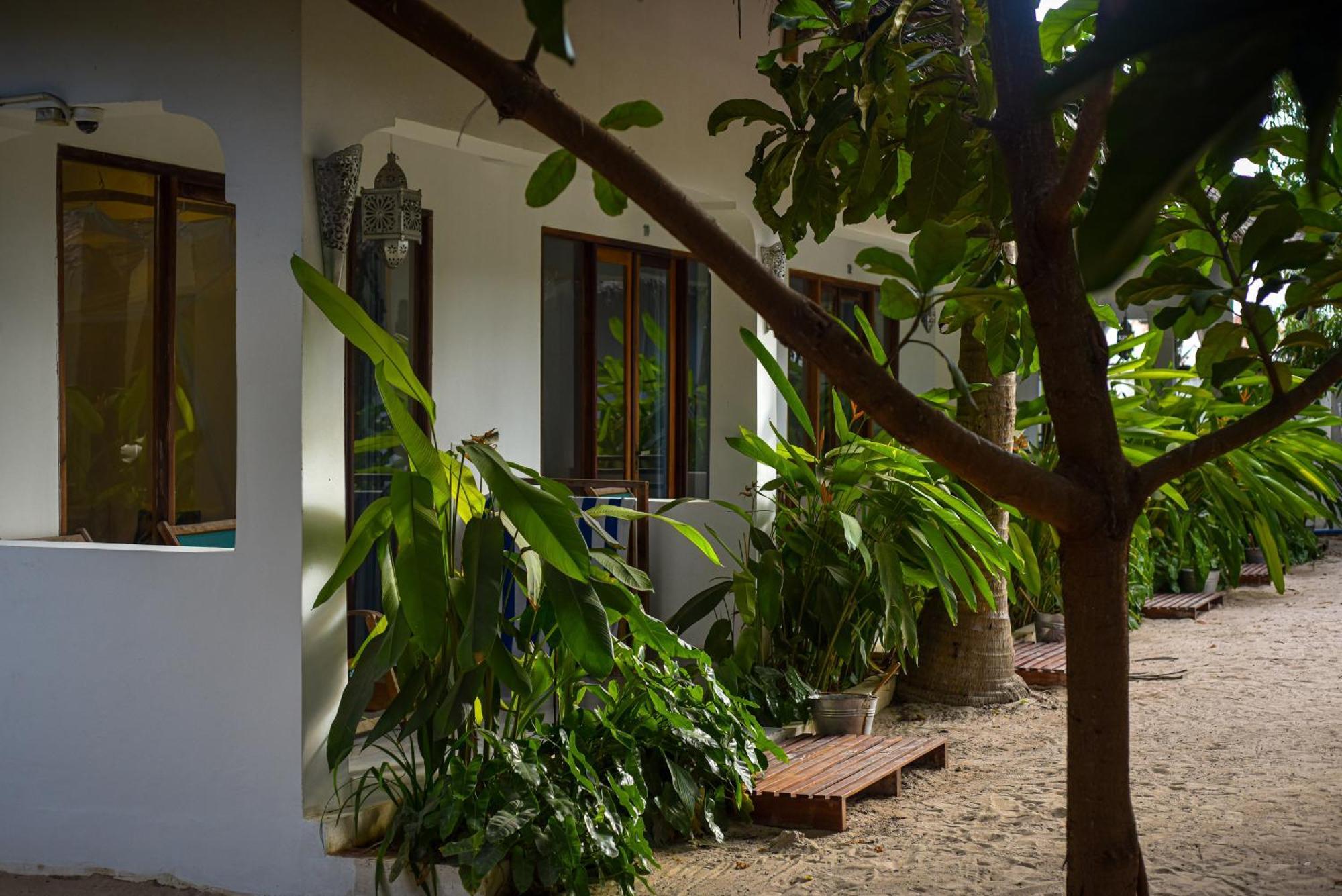 Badolina Bungalows Nungwi Bagian luar foto