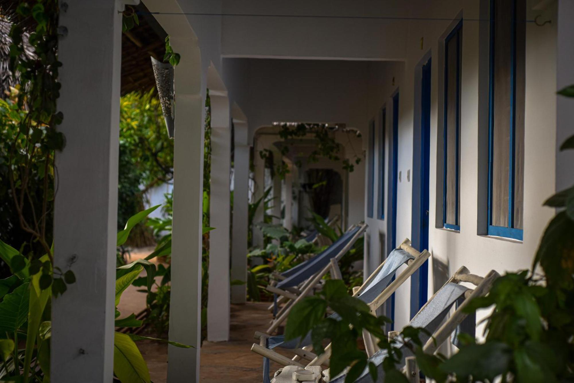 Badolina Bungalows Nungwi Bagian luar foto