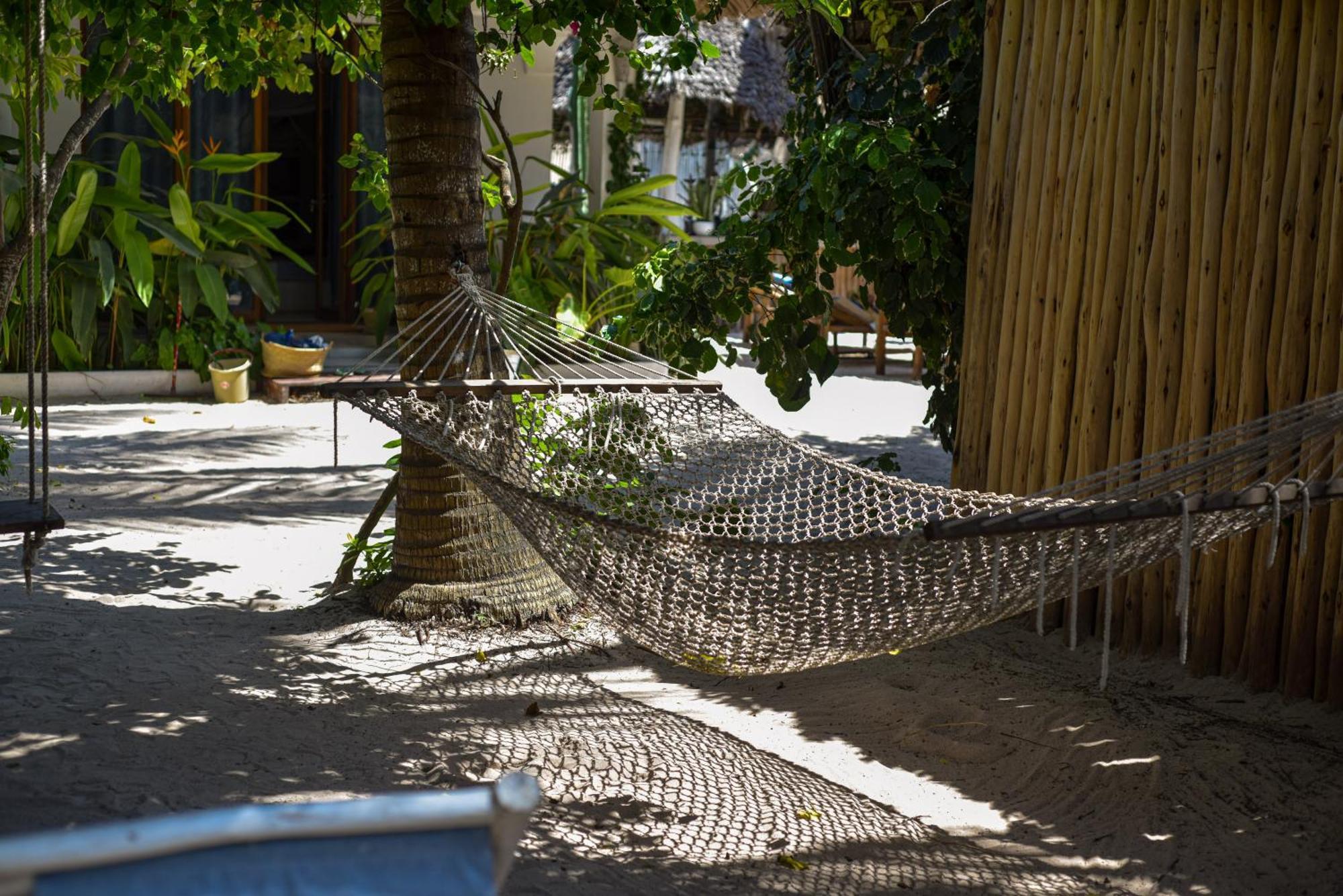 Badolina Bungalows Nungwi Bagian luar foto