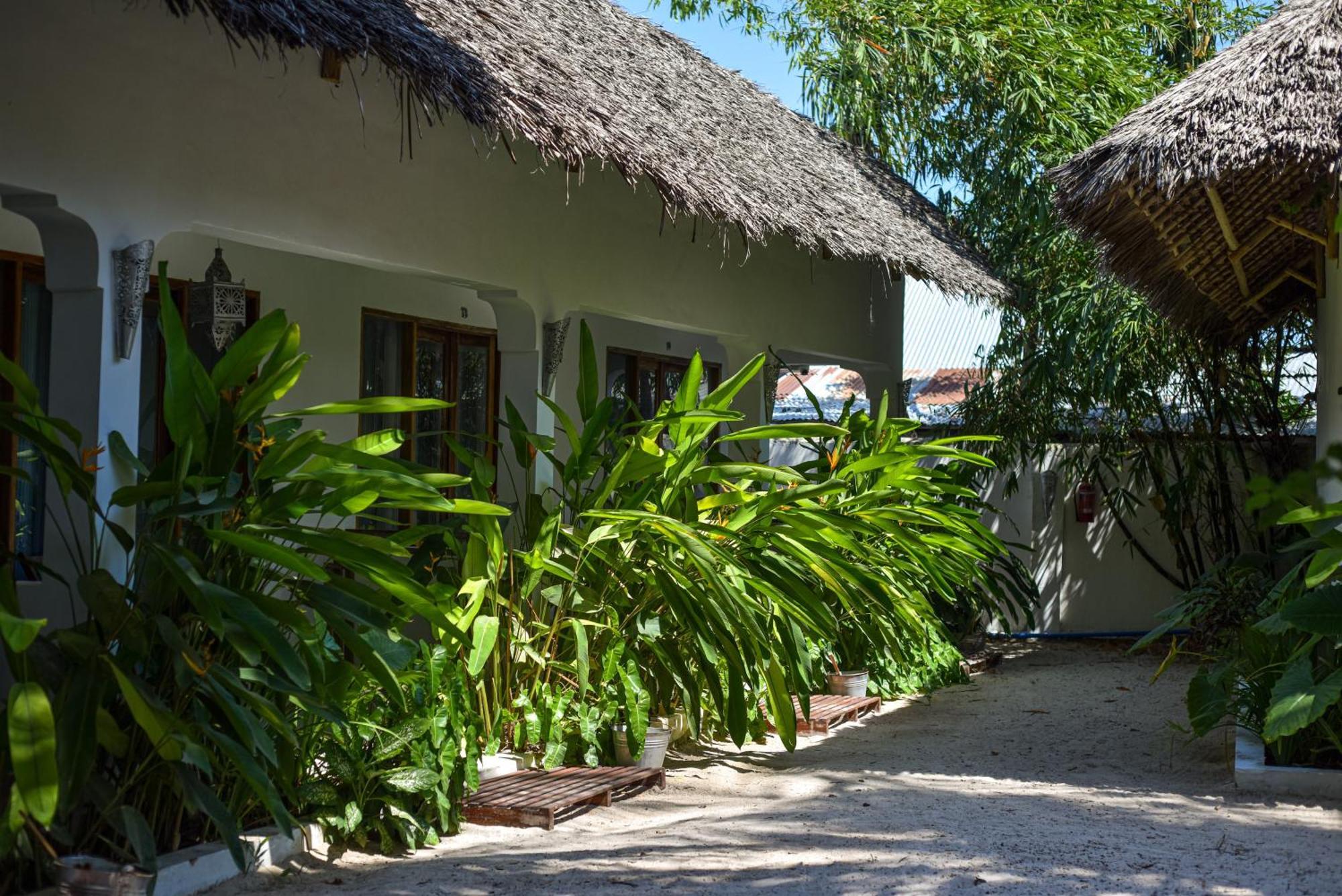 Badolina Bungalows Nungwi Bagian luar foto